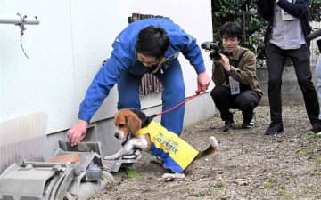 シロアリ探知犬「リッキー」始動！　におい嗅ぎ分け居場所発見　現役犬は九州で１匹　熊本市