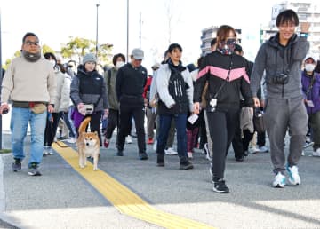 さが桜マラソンのコース体感　「SAGATOCOウオーク」に500人