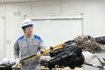 カササギの巣作り、停電に注意　九電送配電、電線カバーなど対策