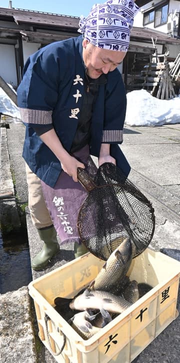 コイ料理の六十里と奥田シェフがコラボ　米沢で22、23日に催し