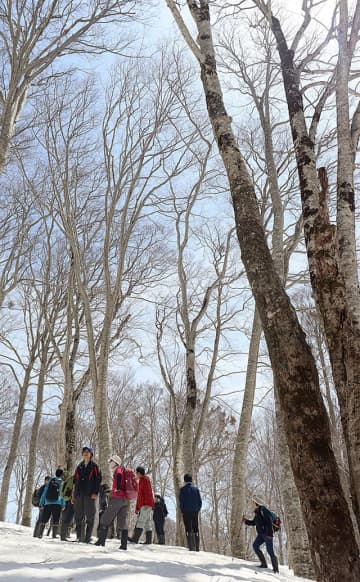 雪上ウオーク、ブナ林散策楽しむ　西川・志津の自然博物園オープン