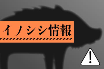 ［イノシシ目撃情報・新潟］上越市（3月24日）