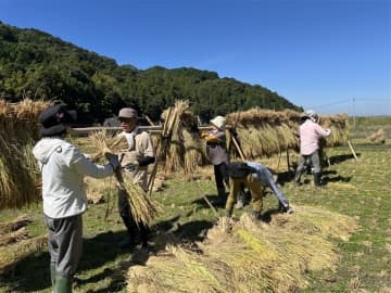 福岡県糸島市の棚田で米作りいかが　「田縁プロジェクト」参加者を募集