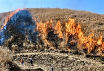 熊本・阿蘇に春の風物詩　緑の大地、命の水育む野焼きの炎