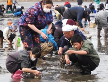 潮干狩りシーズン到来！　富津と木更津の海岸に歓声