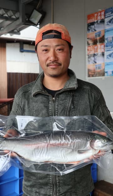 橘湾夕焼けサーモン　「あっさりおいしい」　雲仙・南串山で試食会