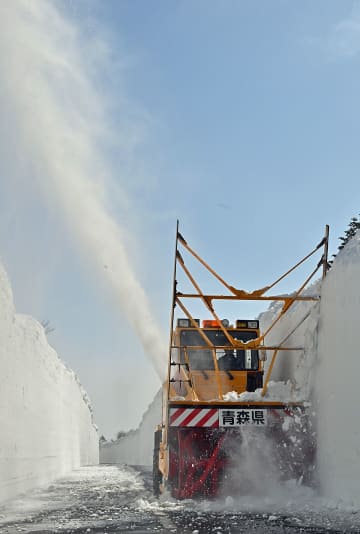 今年は高さ8メートルも！？ 4月開通「雪の回廊」作り進む　八甲田・十和田ゴールドライン（青森県）