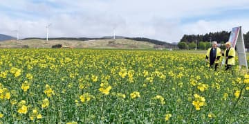 菜の花名所、青森・横浜町で開花宣言　弘前など今年初の夏日／県内2日