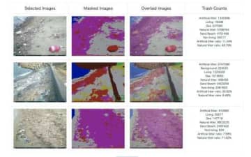 瓶、缶、プラスチック、流木、海藻…海岸ごみの種類や量をAIで｢見える化｣　環境保全活動支援へ画像解析ウェブサービス無料公開　鹿児島大研究グループ
