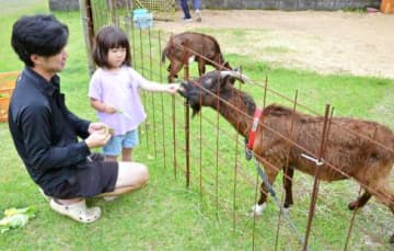 郵便局にヤギ2匹　読まずに食べるのは雑草　「出張」好評、たまに脱走も　日置市