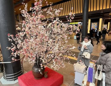 【北陸新幹線福井県内開業1年】来県客もてなす越前和紙の桜　福井駅東口　県民手作り1万5千輪