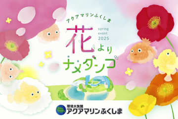 春は「花よりナメダンゴ」　アクアマリン、22日からイベント