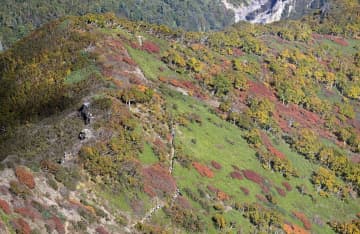 大雪山系黒岳で紅葉見頃　山肌、色鮮やかに染まる