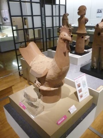 1500年経て埴輪の破片が接合　大阪、2博物館で発掘列島展