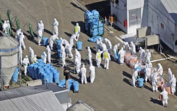 北海道で鳥インフル、今季全国初　養鶏場、1万9000羽処分へ