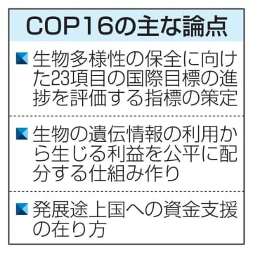 各国対策評価の指標合意が焦点　生物多様性COP16開幕