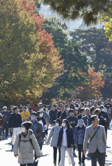 紅葉見頃の皇居・乾通り一般公開　12月8日まで