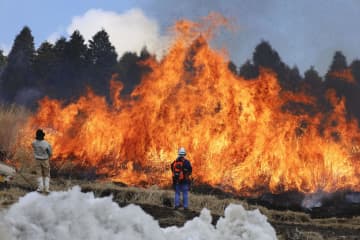 阿蘇・草千里で早春の「野焼き」　90ヘクタール、草原黒く染める