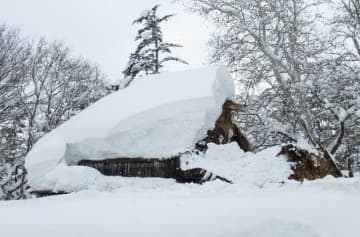 江戸時代の旧家が雪で半壊、青森　県文化財、屋根に2メートル