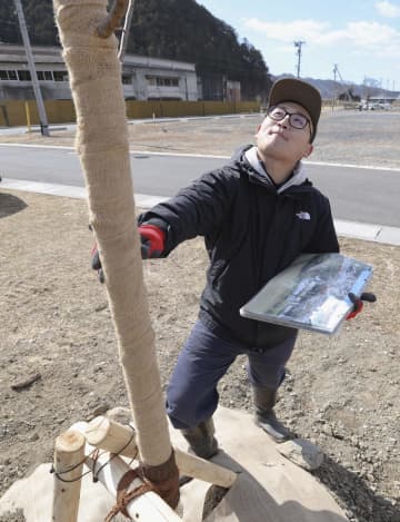 震災被害の大川小卒業生が桜植樹　「日常感じるシンボルに」