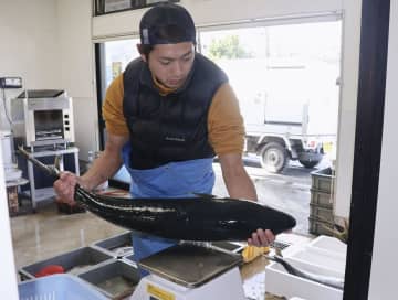 輪島の鮮魚店、被災乗り越え再開　廃業検討も、得意先が復活望み