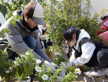 能登の空き地に花咲かそう、七尾　解体跡「利活用が決まるまで」