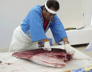 返礼品はマグロ解体ショー体験　鳥取県境港市のふるさと納税