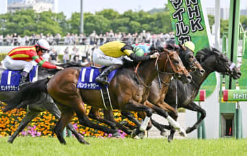 競馬G1、パンジャタワーが優勝　NHKマイルカップ