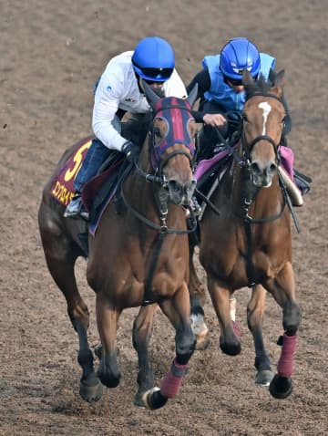 桜花賞馬エンブロイダリーは万全　G1オークスの最終追い切り