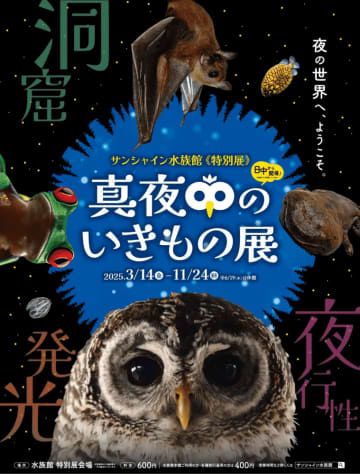 「暗闇」で活動する生き物を展示した特別展