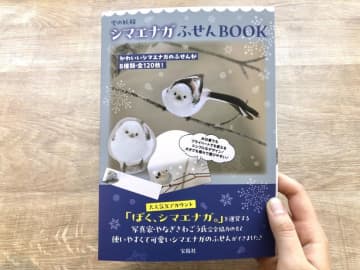 可愛すぎる「シマエナガ」のふせんセットが付録♡SNSで大人気の写真家が全面協力。