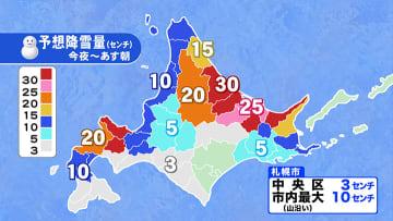 【大雪・暴風雪情報】北海道太平洋側の広範囲で大雪_根室市は猛吹雪で交通網遮断『陸の孤島』…新千歳含む北海道内の空港で100便以上が欠航…24時間で40センチ以上降雪の地域も 北海道