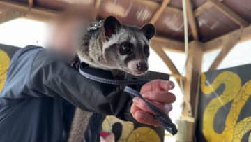 【ノースサファリ】行き場を失った動物たち…札幌市円山動物園に引き取りを求める意見も…担当者は「安易に受け入れることはできない」さまざまなハードルが…ライオンの餌代年間35万円