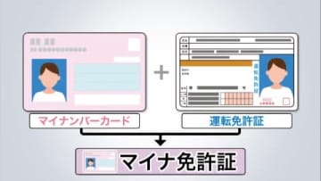 【マイナ免許証】「1枚だと財布がかさばらないので良い」「そのままの方が方が安心」運用初日の運転免許試験場で聞いてみたところ"賛否"分かれる―手続き簡素化やオンライン講習など利点ある一方、注意点も