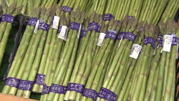 【旬の地元野菜が最盛期に】江別市「のっぽろ野菜直売所」には開店を待つ行列＿客の目当ては地元産アスパラガス！ 1束1200円にもなる極太も…来月はブロッコリー・キャベツなども続々登場予定