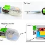 魚類に匹敵する性能を持つ新方式の「魚ロボット」　電気通信大学などが開発