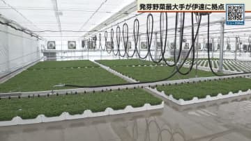 伊達に「発芽野菜」工場　村上農園