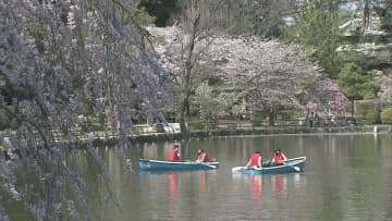 千葉県内のサクラ開花予想「平年並み」に　千葉公園の開花は３月２５日と予想　