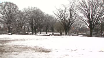 群馬県南部でも積雪　前橋で２ｃｍ　交通への影響に注意