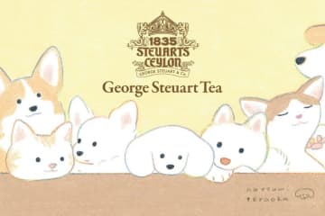 犬のイラストにほっこり「てらおかなつみ」コラボティーバッグセット　限定デザインで登場　シール付き