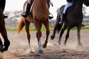 宝くじに当たっても税金は「0円」らしいですね。「競馬」や「ボートレース」などの公営ギャンブルの払戻金でも税金はかからないのでしょうか？