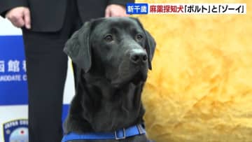 不正薬物の密輸を水際でストップ　麻薬探知犬2匹が新たに配属「ボルト」と「ゾーイ」新千歳空港