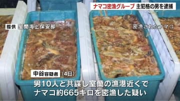 仲間10人と共謀　ナマコ約665キロを密漁か　逃走していた主犯格とみられる男(56)を逮捕　北海道室蘭市