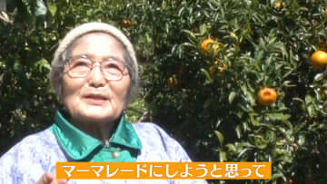 【絶賛】世界大会銅賞のマーマレードを作る瀬戸内の小さな島のおばあちゃん 「生きがいしかない」88歳の情熱