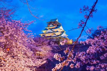 【2025】大阪の夜桜9選！ライトアップ名所＆地元民おすすめの穴場も