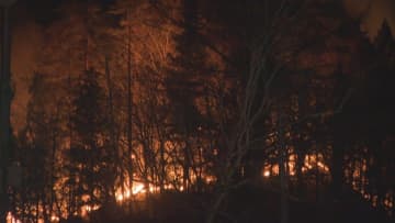 「風にあおられて燃え移った」東京消防庁の職員が警察に話す　山火事の火元とみられる場所で枯れ草を燃やす　山梨