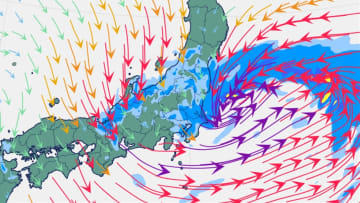 【気象情報】西日本と北日本は暴風雪や暴風に警戒　また西日本と東日本は落雷や竜巻などに注意【降水と風のシミュレーション】