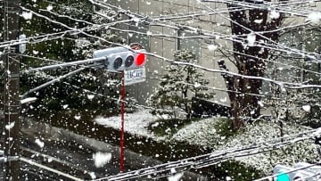 【大雪情報】19日昼前にかけ大雪　盆地で７cm、東部・富士五湖10cmの予想降雪（20日6時までの24時間）【大雪と雨のシミュレーション】　山梨