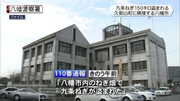 八幡市で九条ねぎ150キロ盗まれる