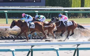 ソクヅモドラドラが2戦目でツモ！　混戦制してV　馬名の由来は「麻雀用語。幸運が訪れるよう願いを込めて」